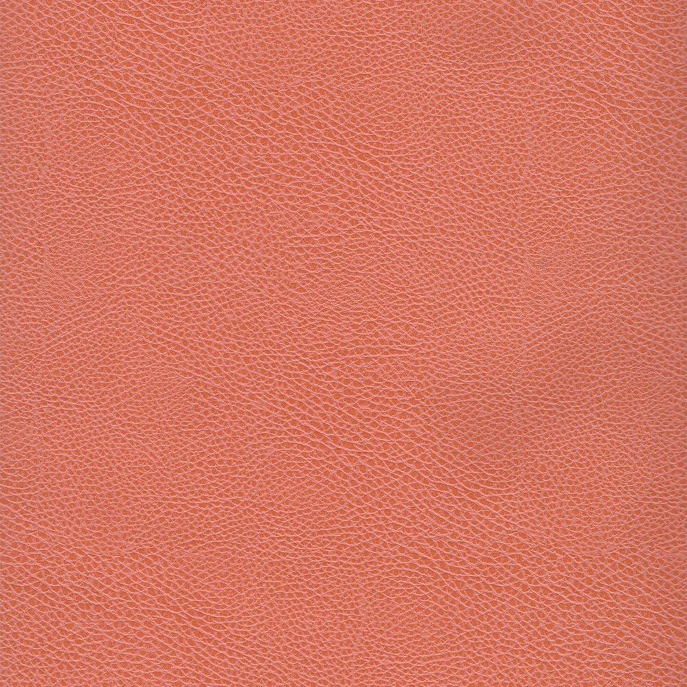 №77 Коралловый